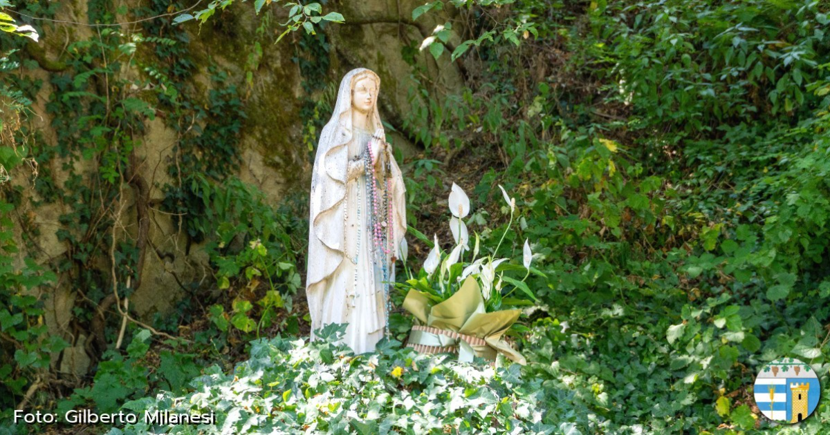 image for grotta-della-madonna-del-bosco-canevino