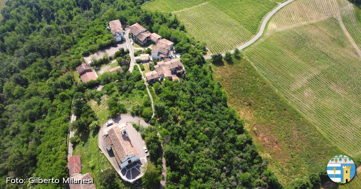 image for colli-verdi-dall-alto